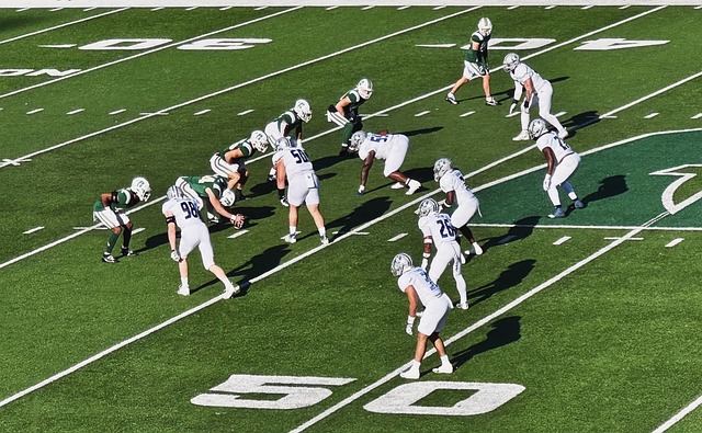 们提供了一 们提供了一