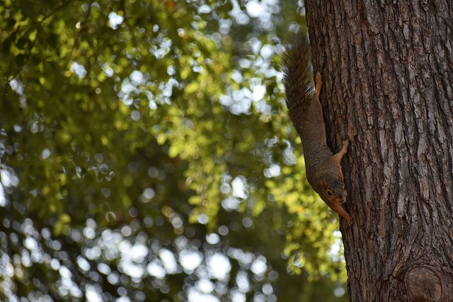 逐渐演变 逐渐演变