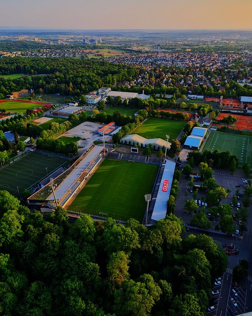 对更高水平 对更高水平