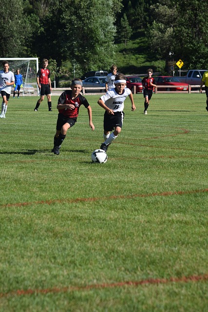 取得这一历 取得这一历